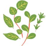Home Health Brand Tech Naturopathy centers